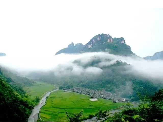 湘西吕洞山，出产中国最贵茶的地方