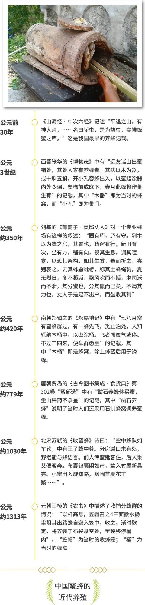 中国蜜蜂早在《山海经》中就记载了，可环境污染却将使他们灭绝