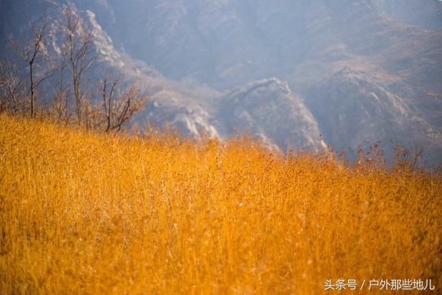 驻马店这座山的景色，一点也不输旅游景区，没门票可劲儿玩！