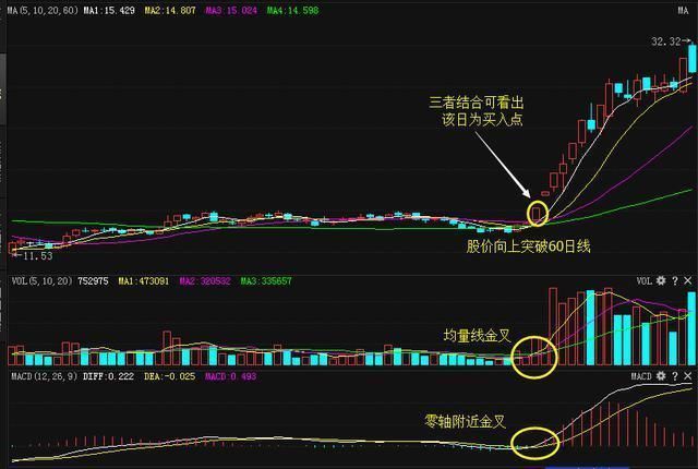 神秘操盘手选牛股的铁律，学会这招，利润就在手中