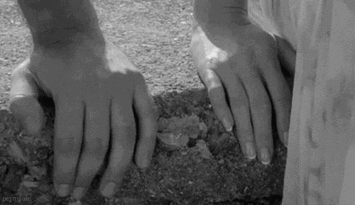 心理学家: 决定爱情持久度的4个因素