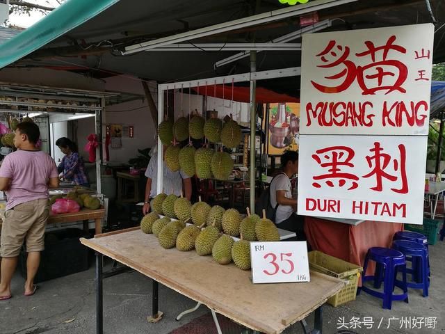 广州出发去马来西亚吃榴莲,人生必要圆一次的