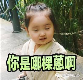 被盖章公知被嘲五花肉,做实事的袁立只是不