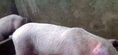 最近出现了流感