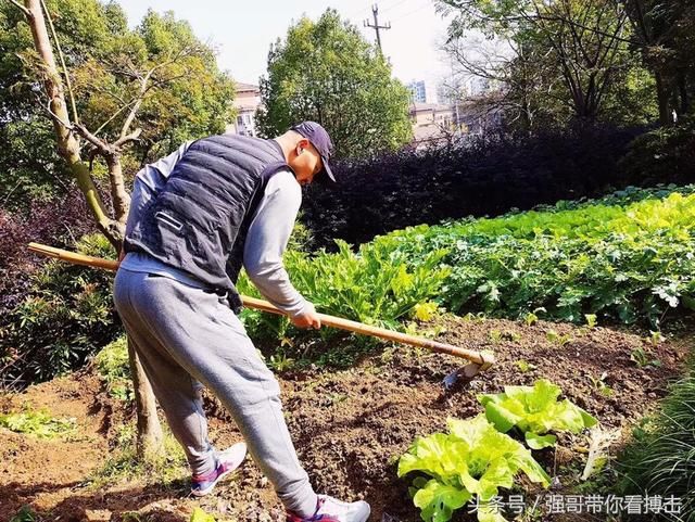 2018年一龙放下所有杂念卷土重来,改名功夫一龙