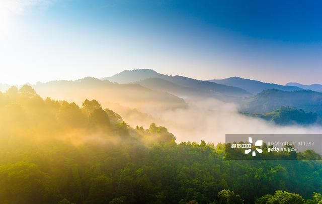 演讲稿:安全护航,青春绽放!