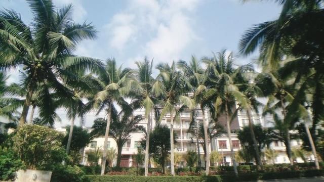 一场适合“70后”的旅行，独自一人带上比基尼来热带的三亚游