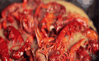 美食 虾 338_208 gif 动态图 动图