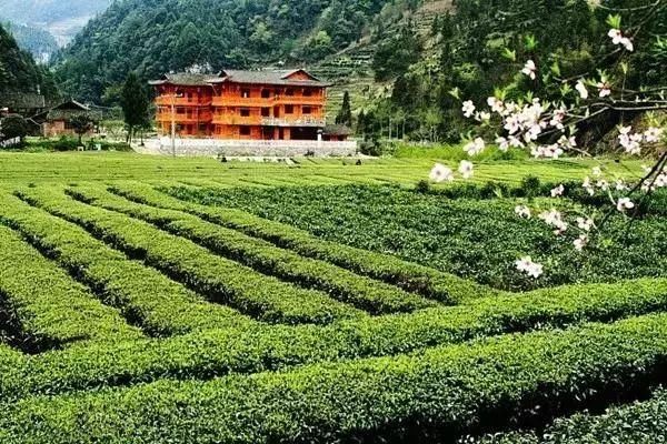 中国湖北居然隐藏了一个旷世仙境 让外国人都为它折服