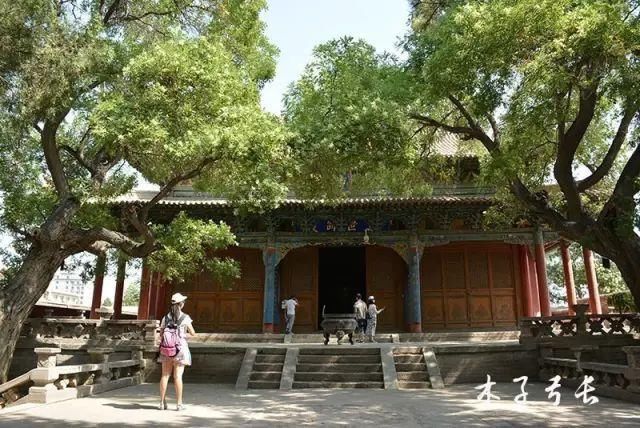 甘肃这个小城，竟没有一只蚊子!曾是七朝古都，却鲜为人知!