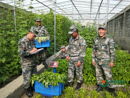 高原官兵谈种菜：吃不完，烂到地里也要种！