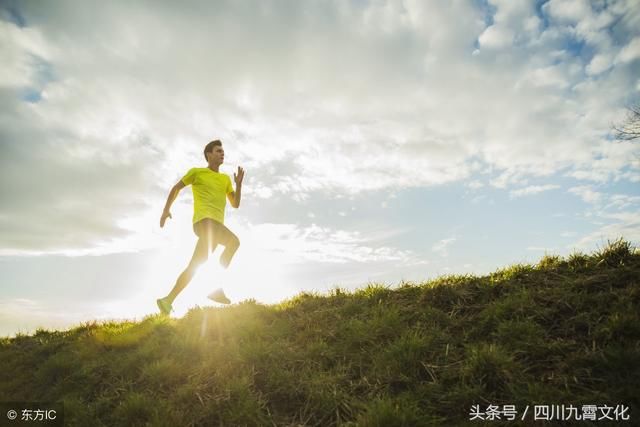 2018生肖鼠的四大运势