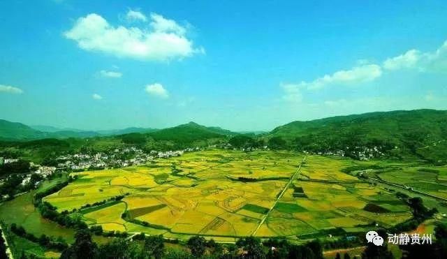 正在公示!贵州这17县候选全国百佳，快来为你家乡投票点赞!