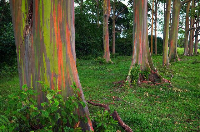 挑战认知!世界上具有魔力的15个地方，血红色瀑布，午夜有太阳!