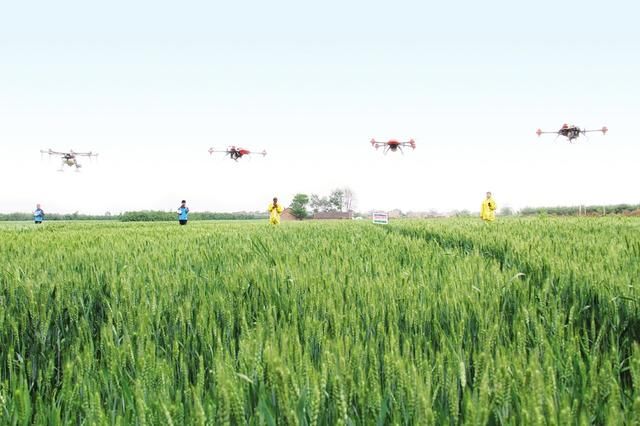 农业农村优先发展乡村产业