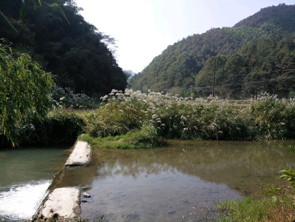 随拍:黄山脚下的农村,很淳朴自然,你喜欢这样的农村吗