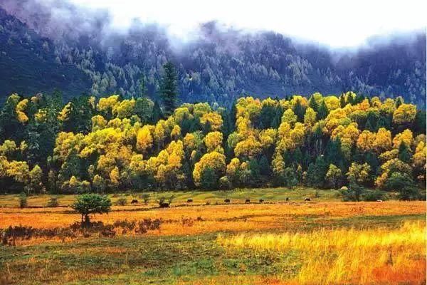 天凉好个秋,收获的季节旅行目的地推荐攻略