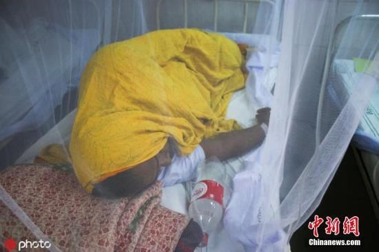 新加坡疫情现状