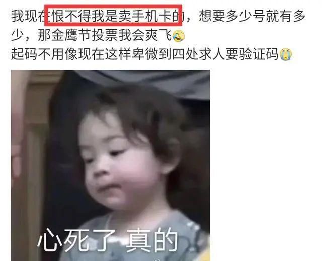 金鹰节各家打投激烈？带你看看粉丝拉票的千层套路
