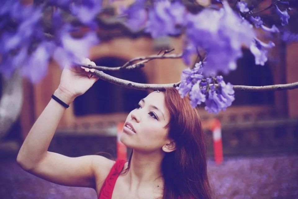 权威出炉!澳大利亚彻底超过美英加，成为土豪最爱的移民国!从普通