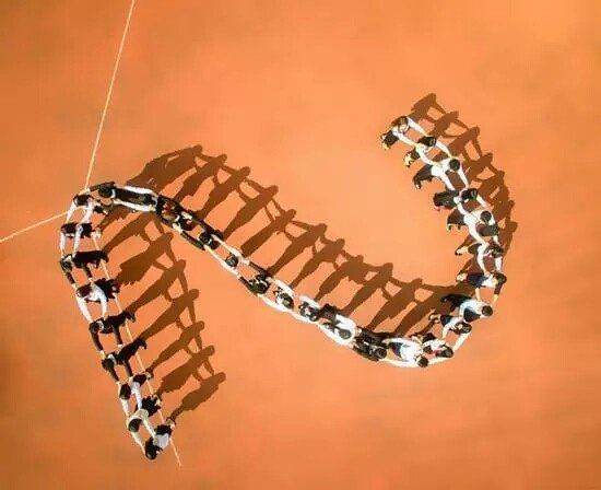 创意集体照拍摄,这10个造型超经典