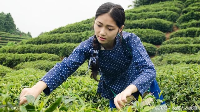 一生产队长说；农村女人回家才能振兴乡村，这5个理由很实在！