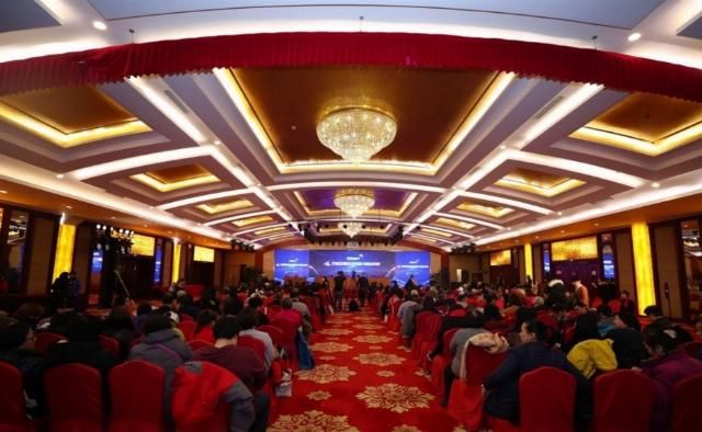 关于转基因的谣言有哪些