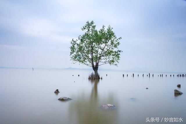 你的孤独虽败犹荣经典语录:孤独前是迷茫 孤独