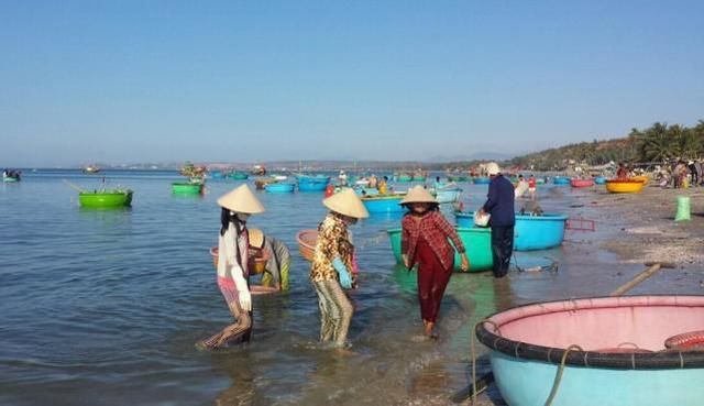 老表去越南旅游，犹豫要不要找个当地女导游，面对很多人骑虎难下
