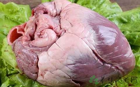 秋季吃什么对睡眠好