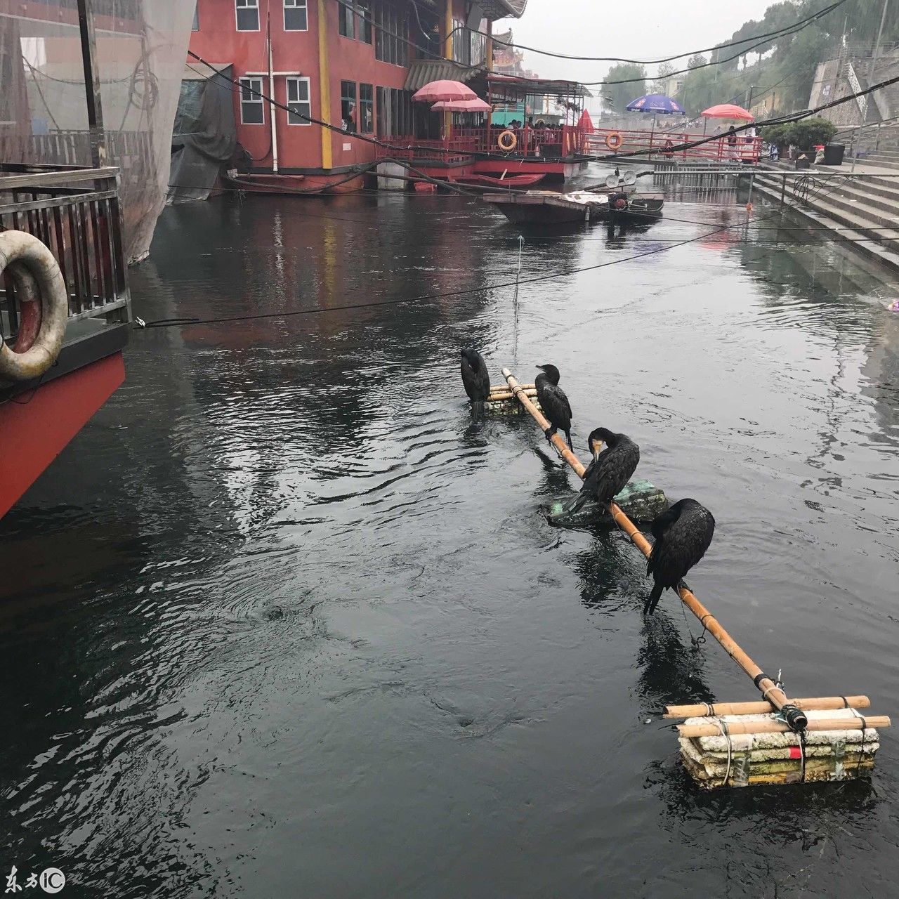 丹江口水库--中国水都，拥有以鲌鱼、鳡鱼为主的40多种名贵鱼类