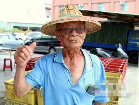 台湾凤梨“价崩”,82岁老农赔千万,追问原因:眼泪要下来了