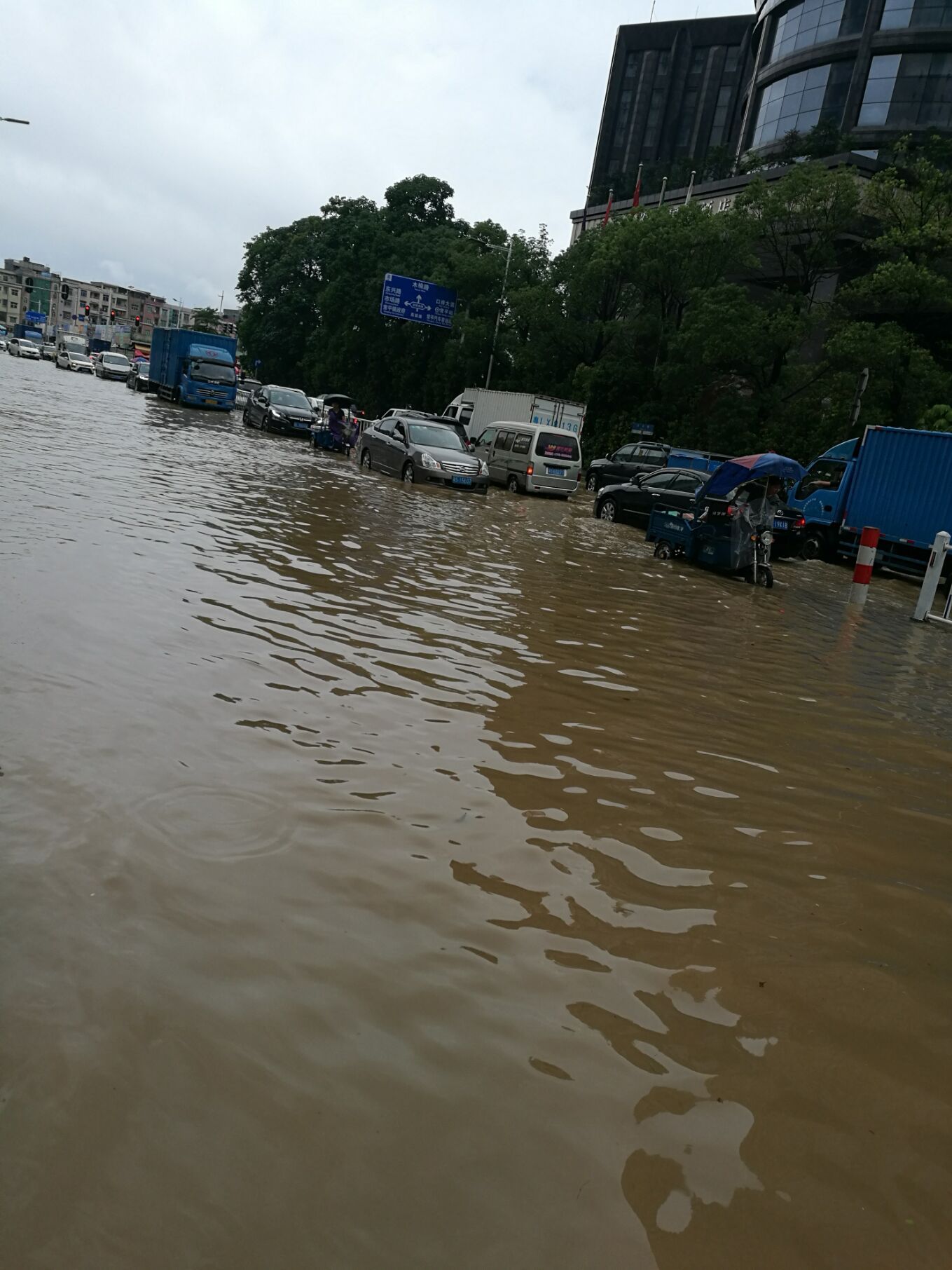 来东莞常平看海，顺便感受一波无良司机的情怀