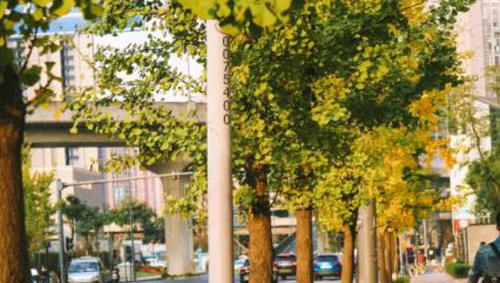 这个网红旅游城市,现在发展这么快,值得去游玩