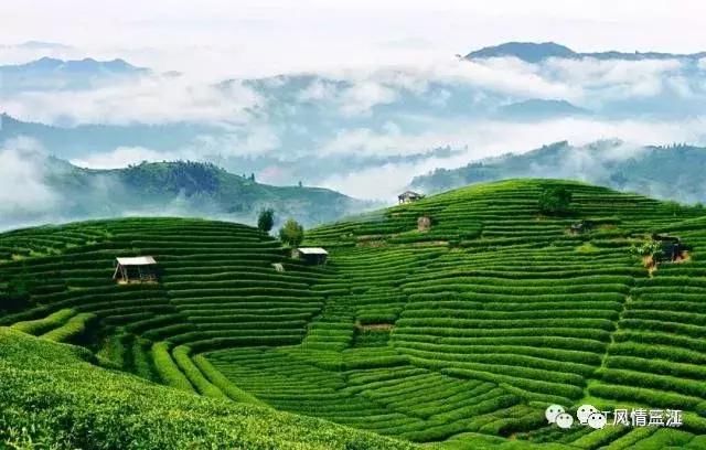 重磅“全域旅游，美好生活”2018柳州旅游嘉年华即将在三江举办