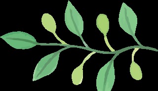 critical thinking 是什么意思?