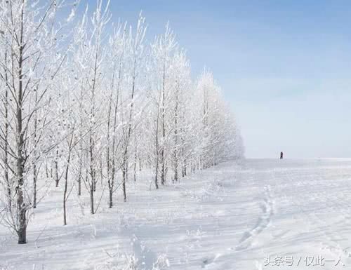 日本这次爽死了，“超级暴雪寒流” 袭击，冻开花了！