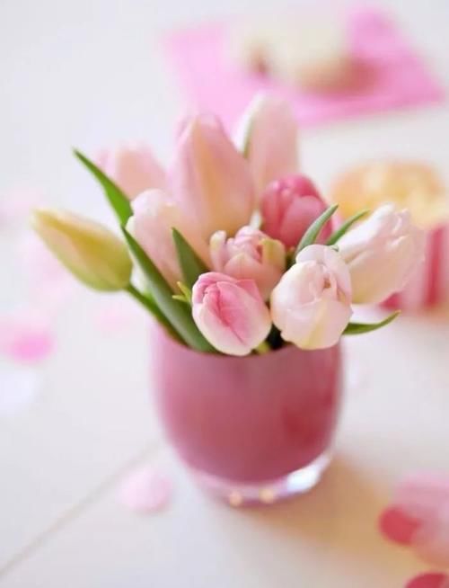 朋友圈早安经典语录 早安唯美心语配图片