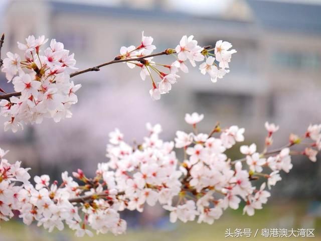 广州去海口79元！一大波白菜价机票来了，错峰出游正当时！