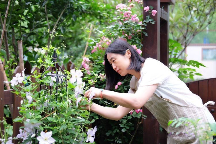 花园就像绿色小氧吧 喜欢的话就把自家小院打造成氧吧花园小院吧