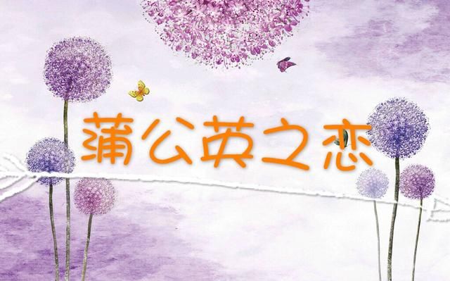 分手恋人郑爽张翰再度合作,网友担心他们会不