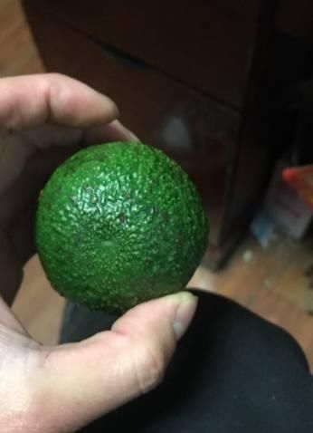 网友公认最难吃的4种水果,吃过2种的很正常,全吃过的算你倒霉!