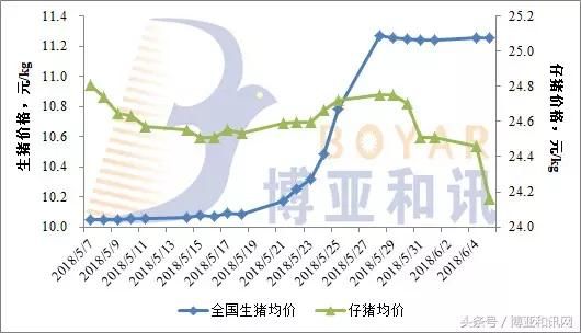 全国猪价稳定，散户饲养成本更低，压栏大猪多，看好后市猪价