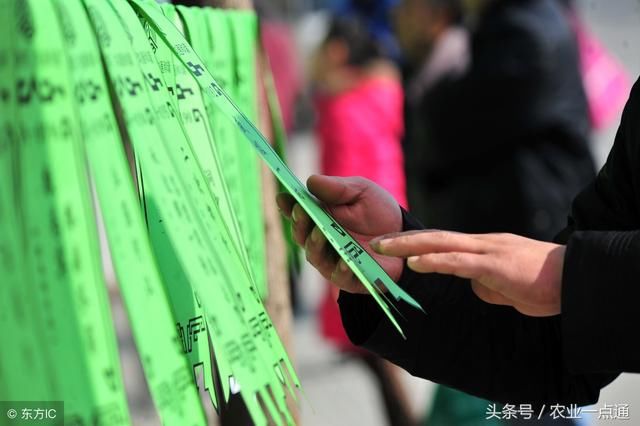 这些农村谜语，一般也只有农村娃能猜出来，不信你来试试!
