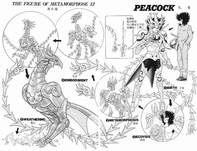 那一年折翼的《静斗士翔》,下载讲了故事怎样漫画a斗士到底图片