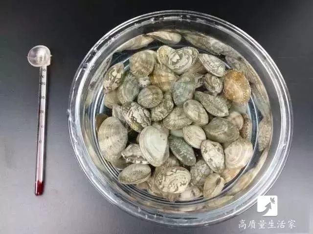 2分钟让蛤蜊蛏子速度把沙土吐干净,赶紧学起来!