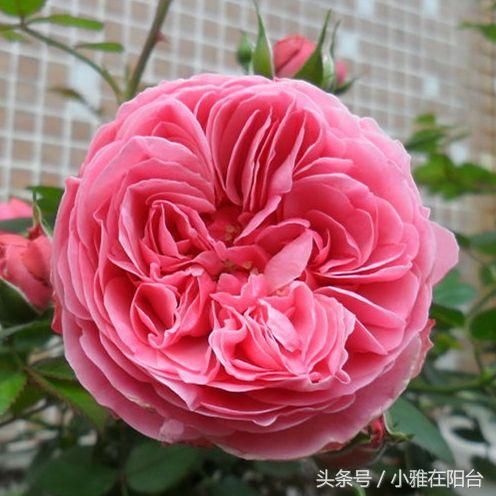 t01e2ad8874cc8b003c.jpg
