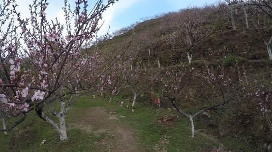 乡村振兴中国行：走进浏阳看桃花飞瀑，听琅琅书声