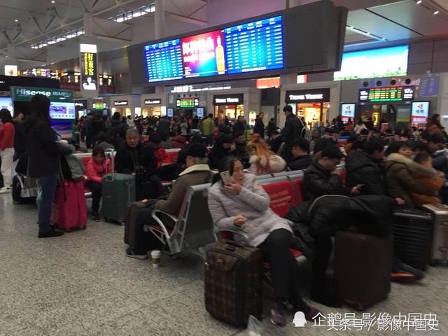 上海虹桥高铁站春运景象：千山万水挡不住游子回家过年 现场图
