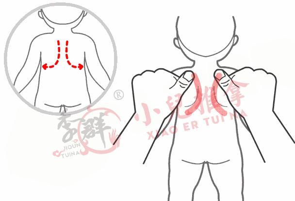 鹦鹉给毒贩通风报信:妈妈,有警察!